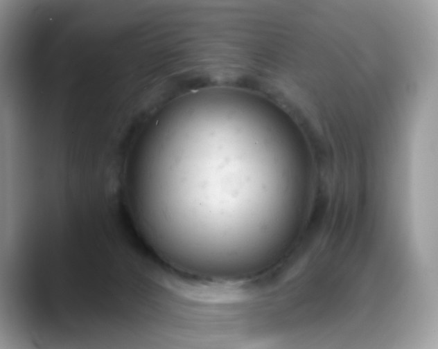 X0000089680032200707051615