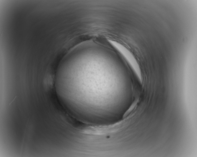 X0000089680033200707051615