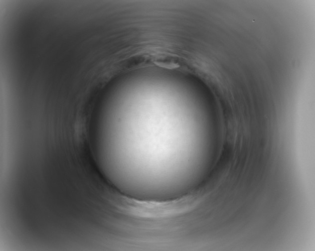 X0000089680034200707051615