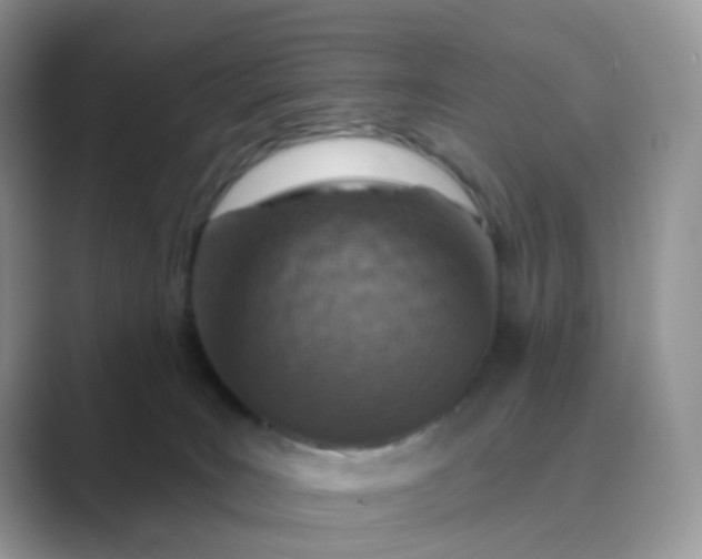 X0000089680035200707051615