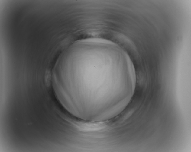 X0000089680036200707051615