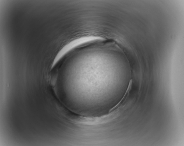 X0000089680037200707051615