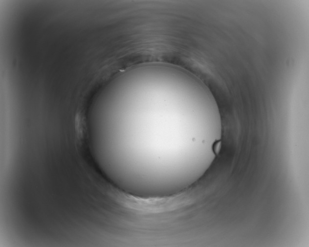 X0000089680038200707051615