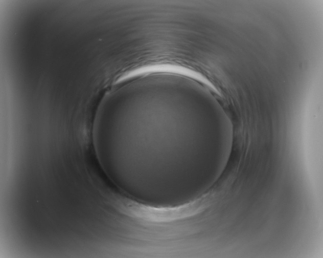 X0000089680039200707051614