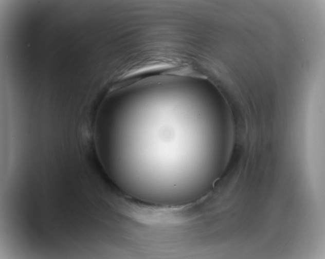 X0000089680040200707051614