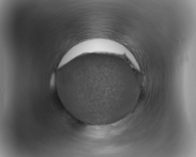 X0000089680041200707051614
