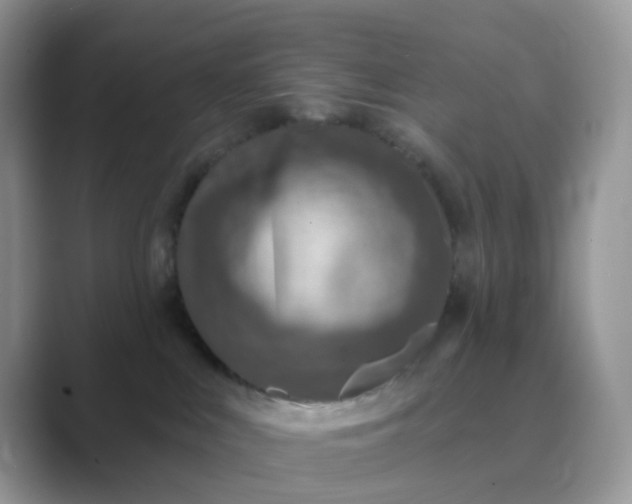 X0000089680043200707051614