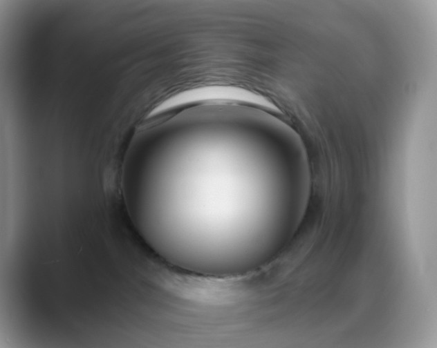 X0000089680044200707051614