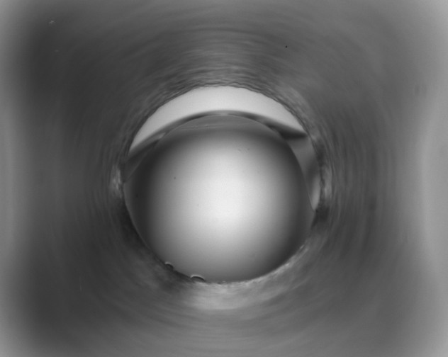 X0000089680045200707051614