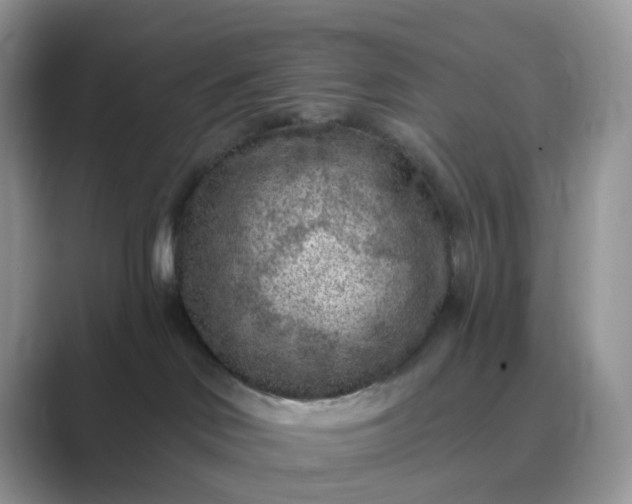 X0000089680046200707051614