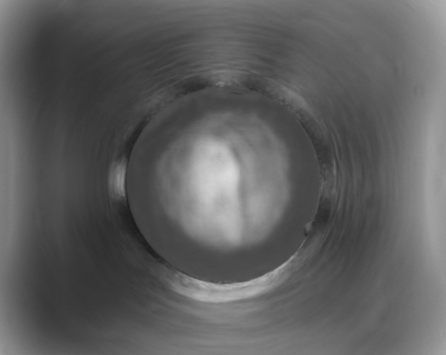 X0000089680047200707051614