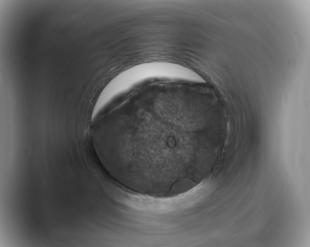 X0000089680048200707051614