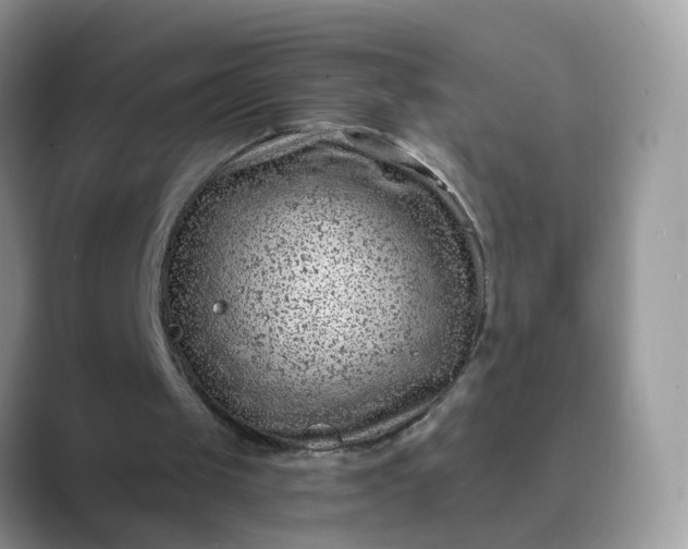 X0000089680049200707051614