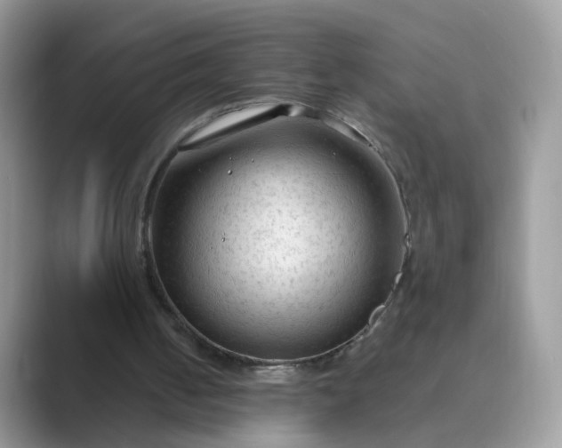 X0000089680050200707051614