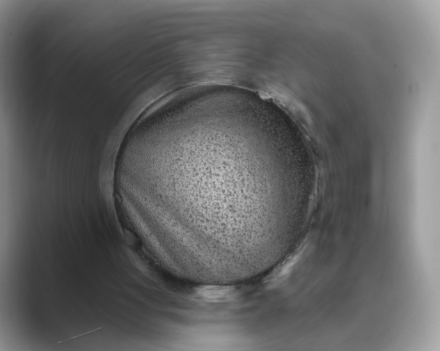 X0000089680051200707051614