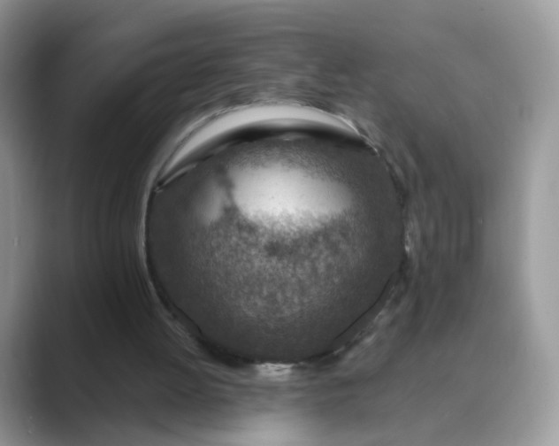 X0000089680052200707051614