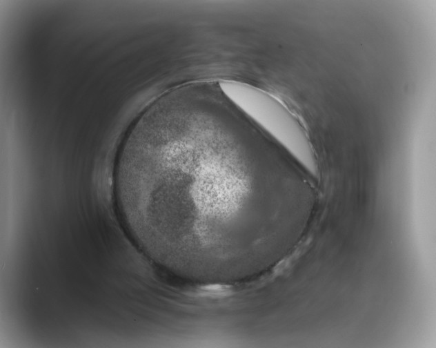 X0000089680053200707051614