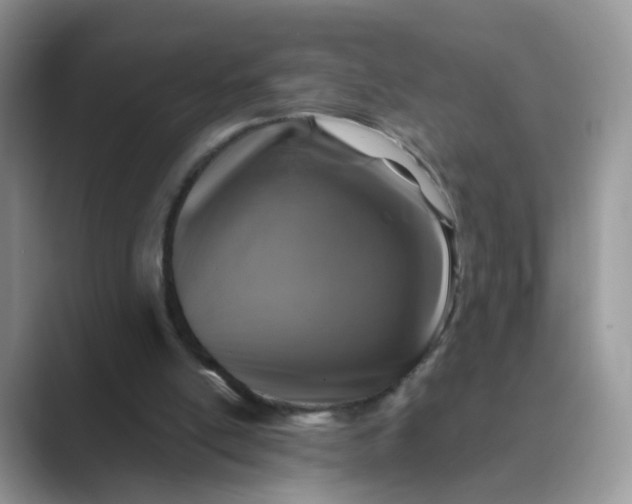 X0000089680054200707051614