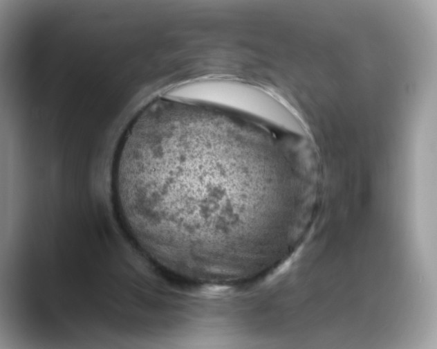 X0000089680055200707051614