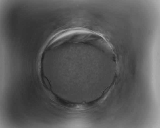 X0000089680056200707051614