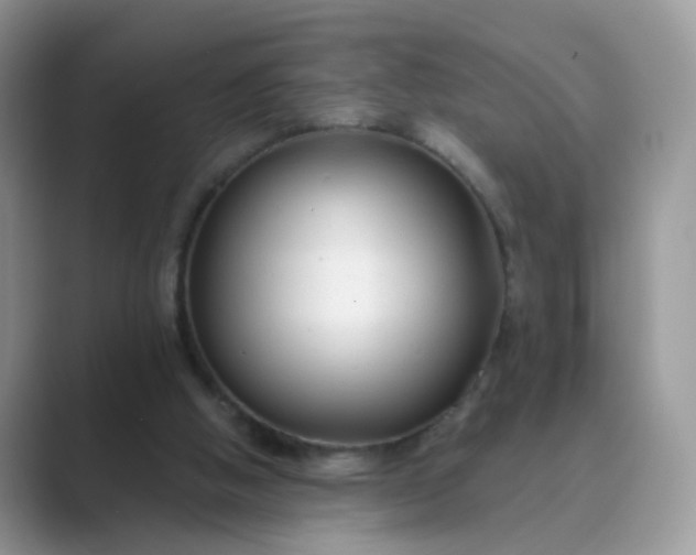 X0000089680058200707051614