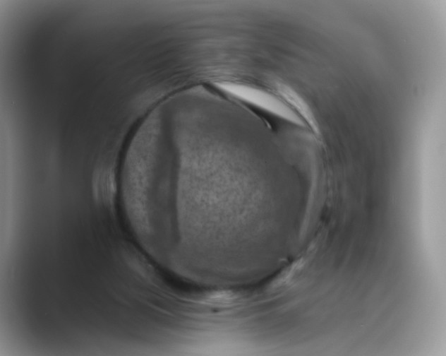 X0000089680059200707051614