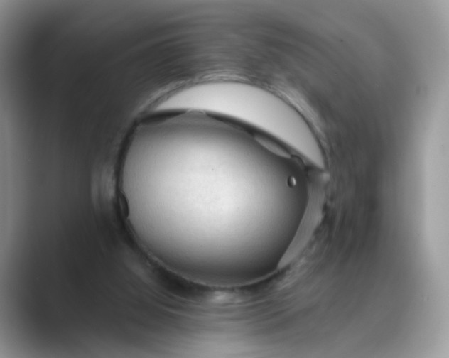 X0000089680060200707051614
