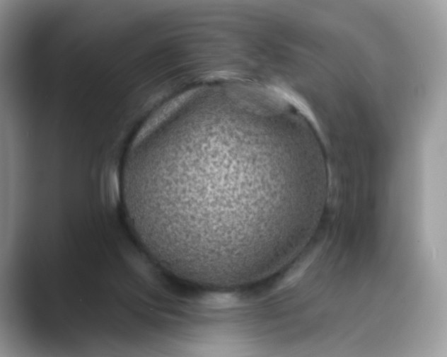 X0000089680061200707051614