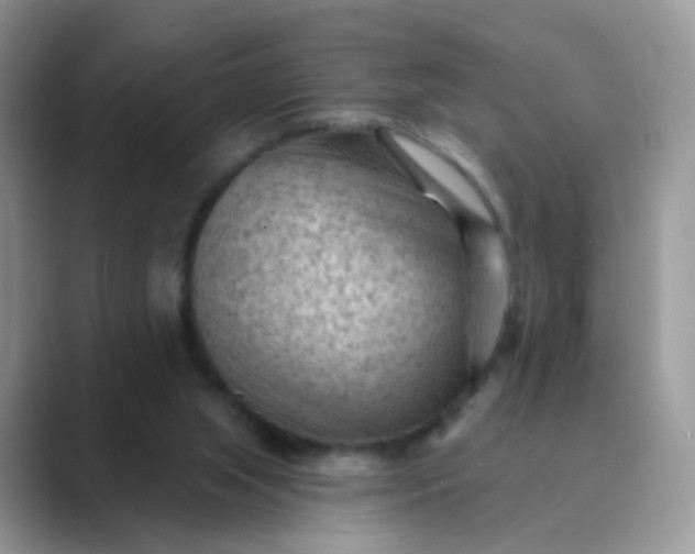 X0000089680063200707051614