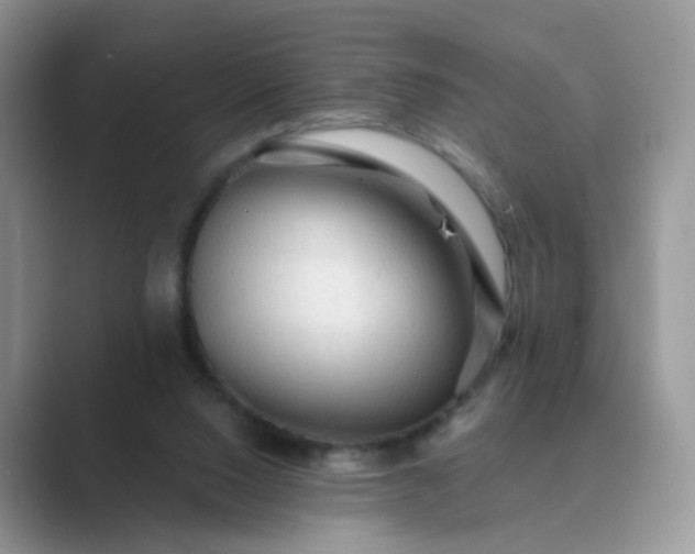 X0000089680064200707051614