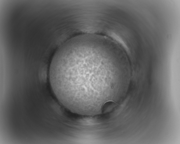 X0000089680065200707051614