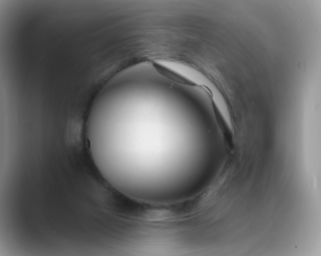 X0000089680066200707051614