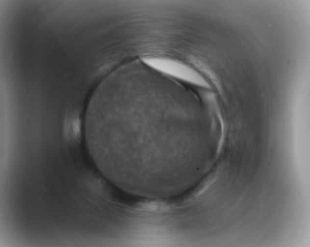 X0000089680067200707051614