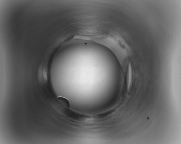X0000089680068200707051614