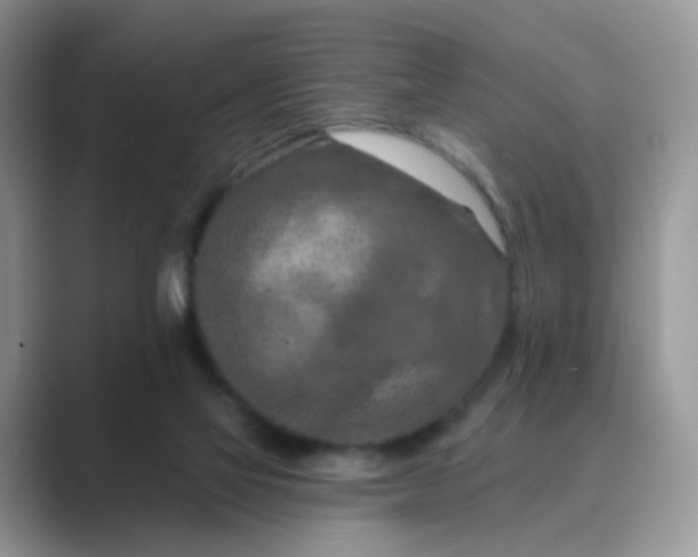 X0000089680069200707051614