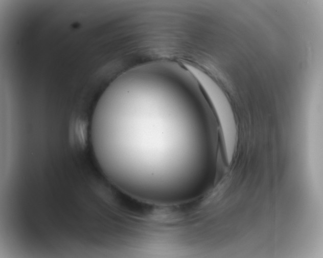 X0000089680070200707051614