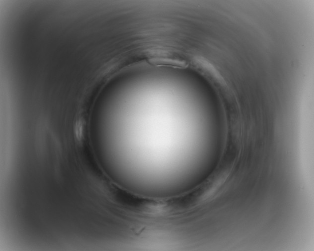 X0000089680071200707051614