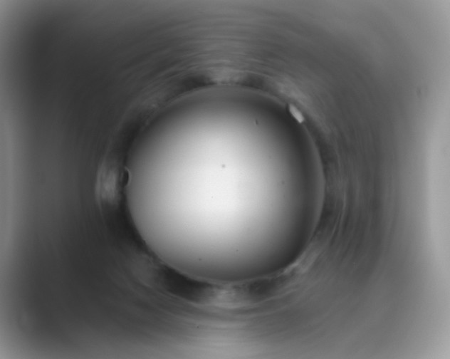 X0000089680074200707051614