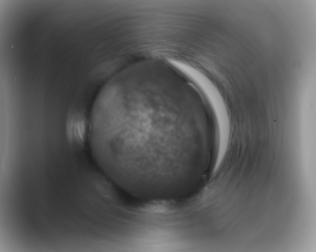 X0000089680076200707051614