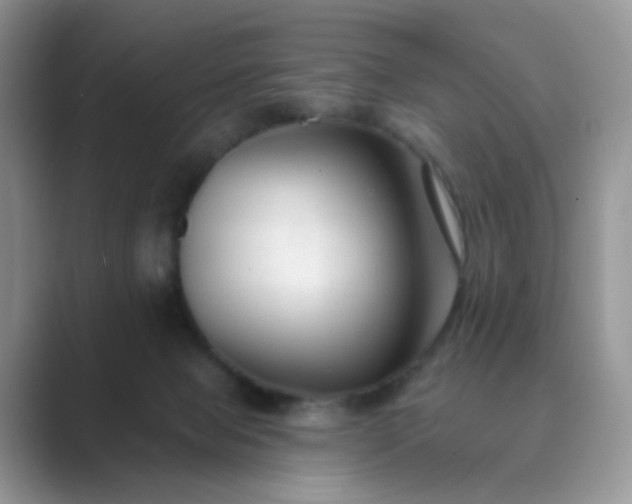X0000089680077200707051614