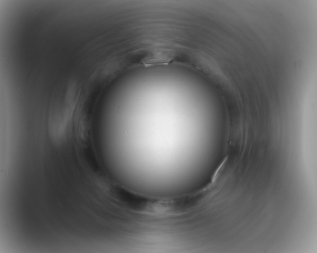 X0000089680078200707051614