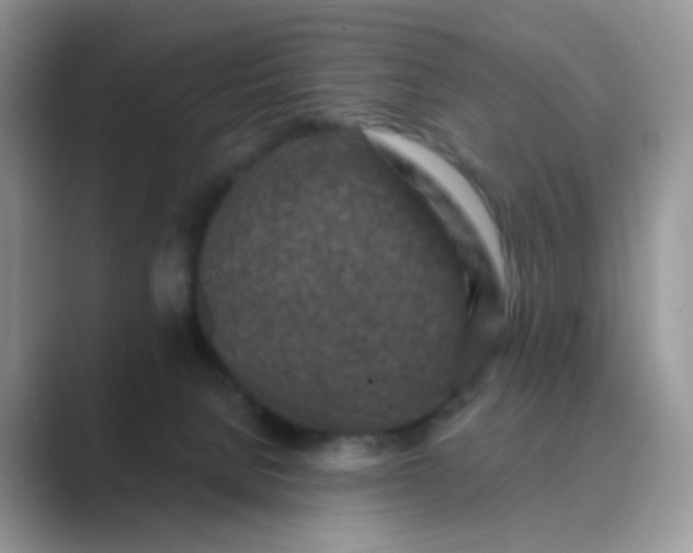 X0000089680080200707051614