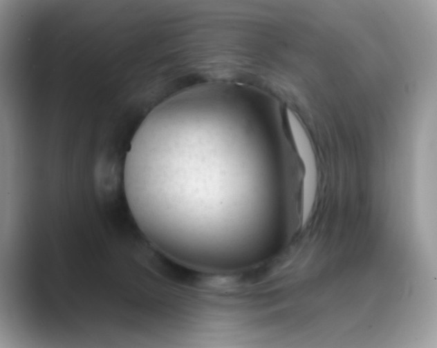 X0000089680081200707051614