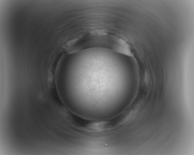 X0000089680084200707051614