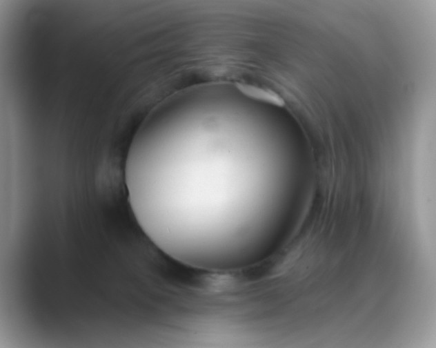 X0000089680085200707051614