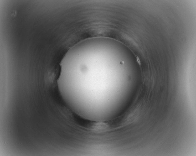 X0000089680087200707051614