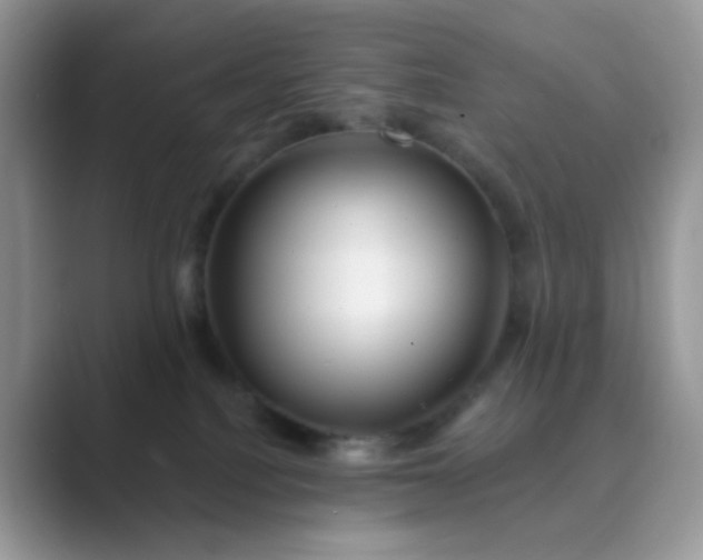 X0000089680088200707051614