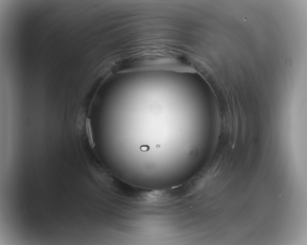X0000089680092200707051614