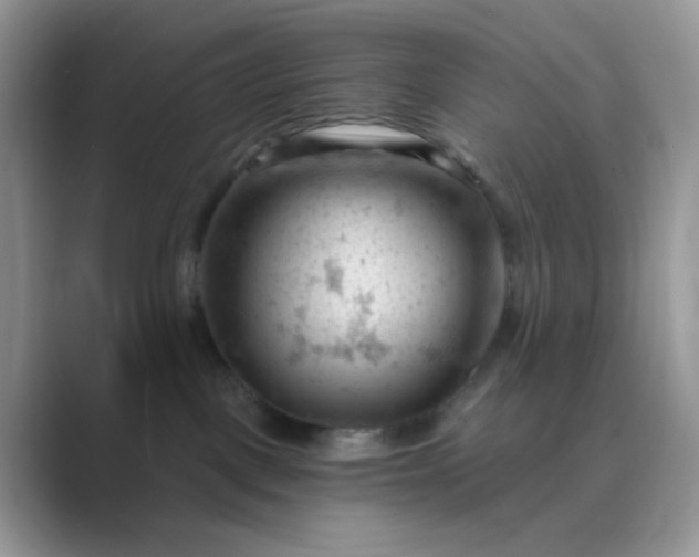 X0000089680093200707051614
