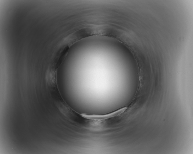 X0000089680096200707051614